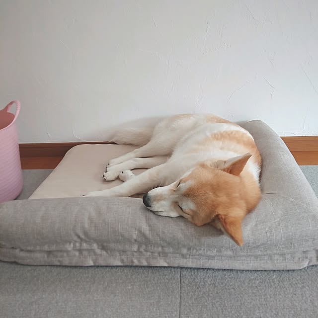 Mi-koさんの部屋