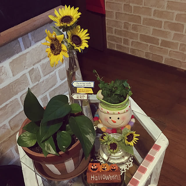 niko25reiさんの実例写真