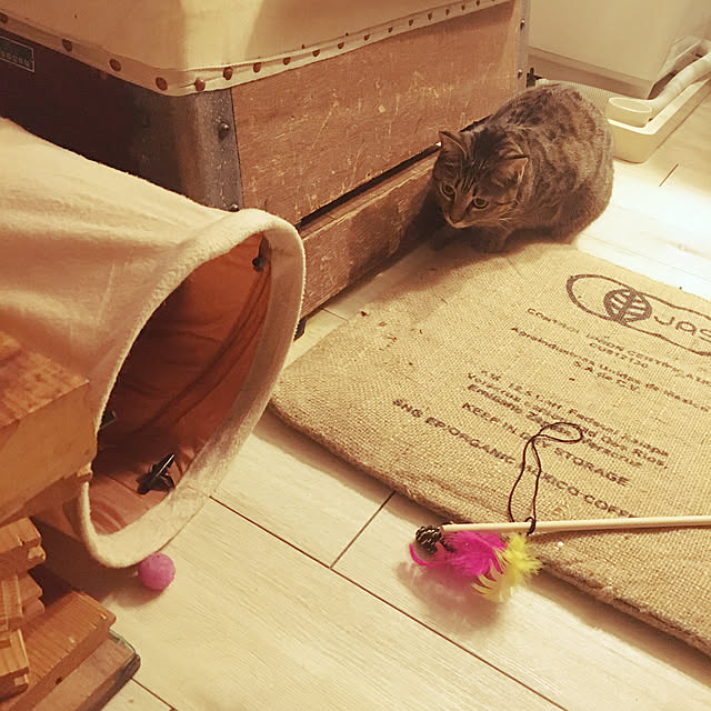 Mさんの実例写真