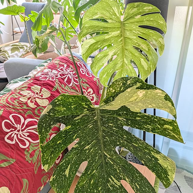 kolo92さんの部屋