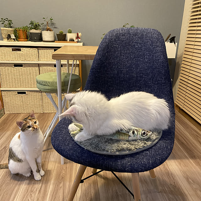 miwaさんの実例写真