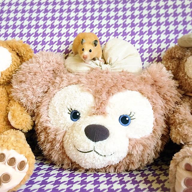 HappyRoseさんの実例写真