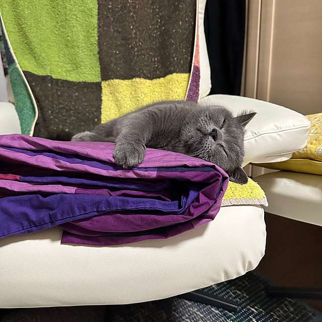 kittyさんの部屋