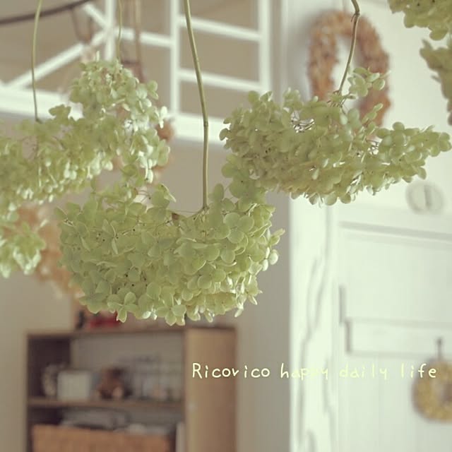 rico-mamaさんの実例写真