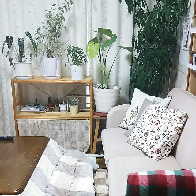 naopyiさんの実例写真