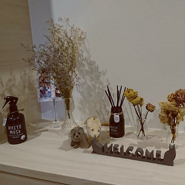 玄関/入り口/一条工務店/一条工務店 アイスマート/アイスマート/平屋の家...などのインテリア実例 - 2018-09-25 12:50:12