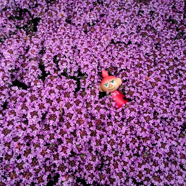okeiさんの実例写真