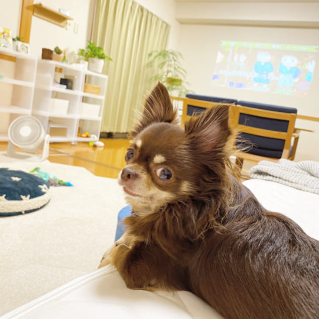 ricoさんの実例写真
