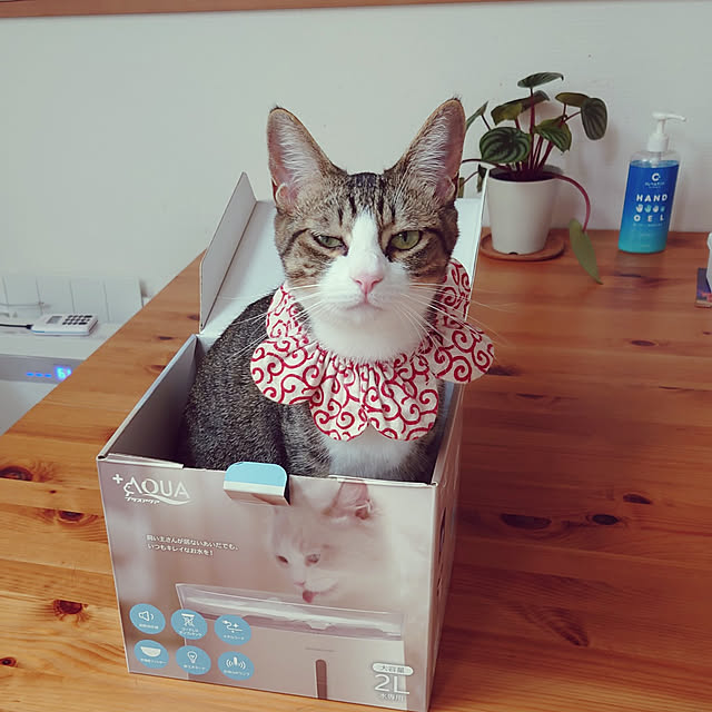 mochicoさんの実例写真
