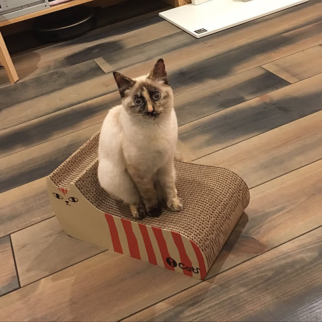 Moricさんの実例写真