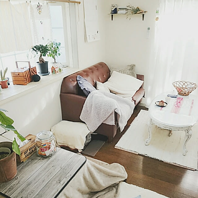 yukimushiさんの実例写真