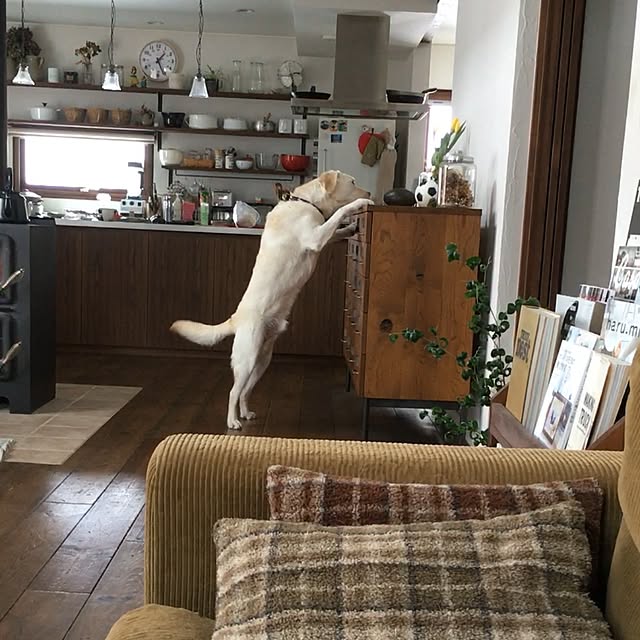 omiyu34さんの実例写真