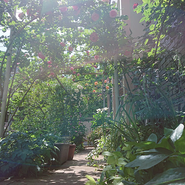 botanさんの実例写真