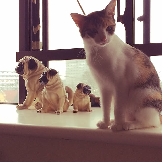makiさんの実例写真