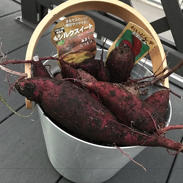 misamariさんの実例写真