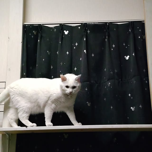 lelielさんの部屋