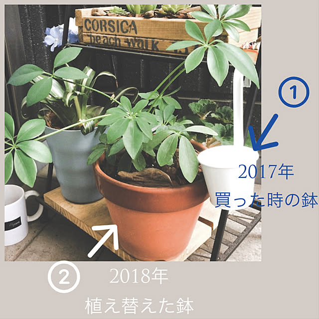 mako2yaさんの実例写真