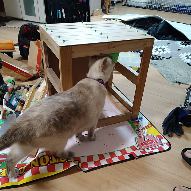 kiyohima229さんの実例写真