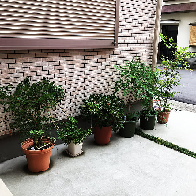 chi.nyanさんの実例写真