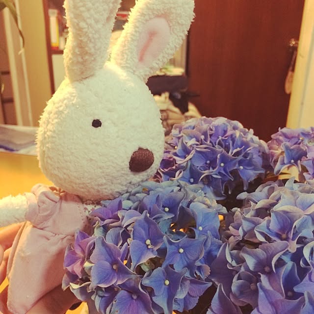 Coolywahさんの実例写真