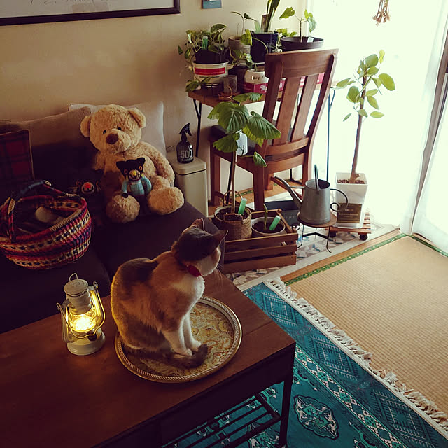 fukuさんの実例写真