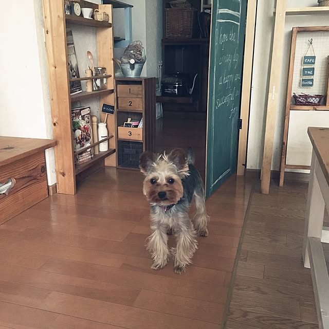 mayuoさんの実例写真