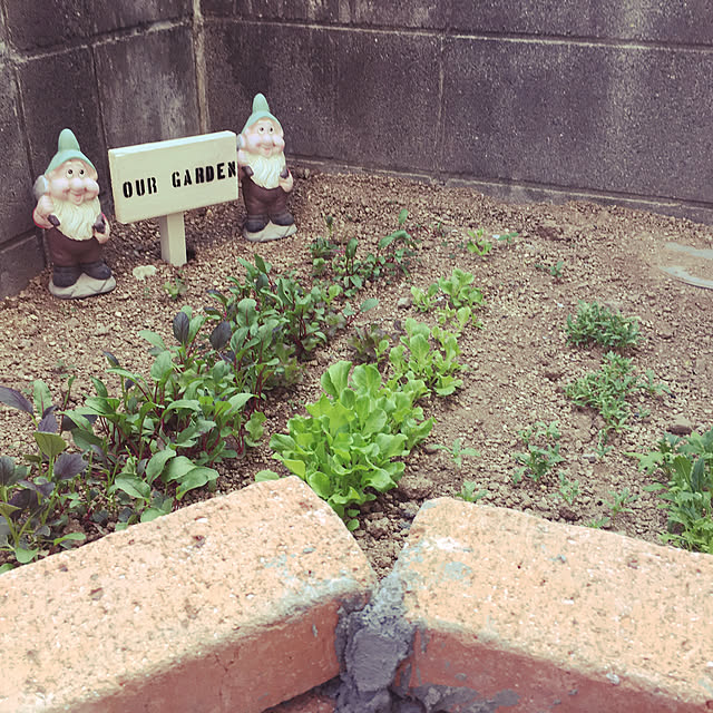Tさんの実例写真