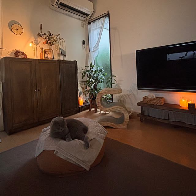 greycatsさんの部屋