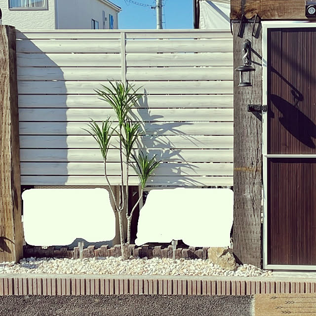 cat.mさんの実例写真