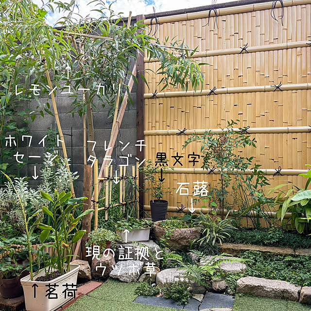faunさんの部屋