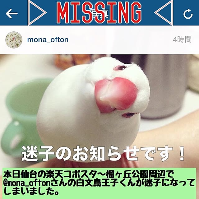 kinako_shiro_ginさんの実例写真