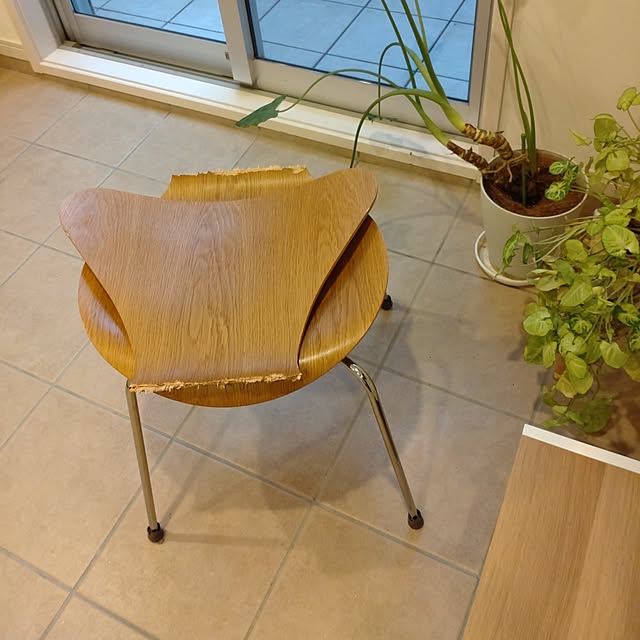 実例写真