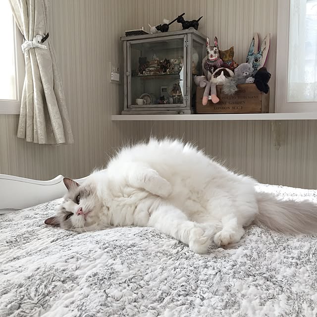yuchiさんの実例写真