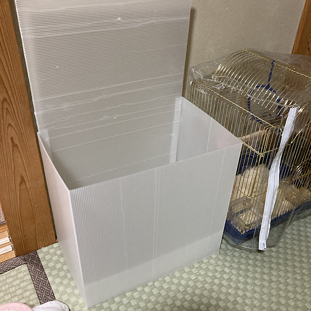 koroさんの実例写真