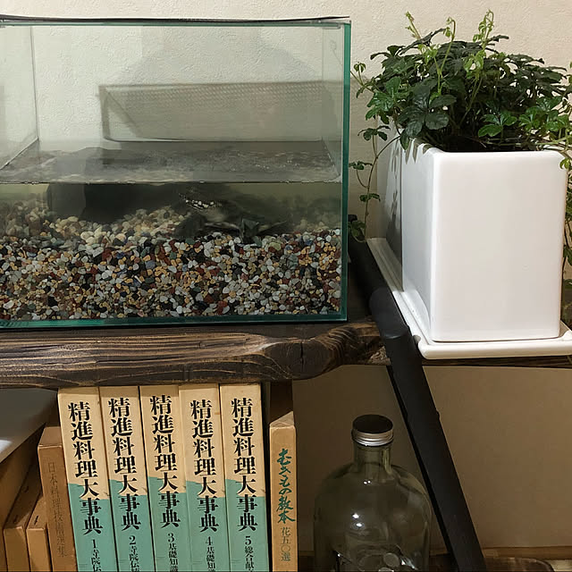 Kokiさんの実例写真