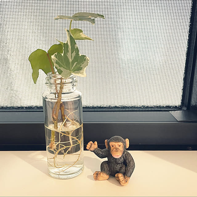 chipsさんの実例写真