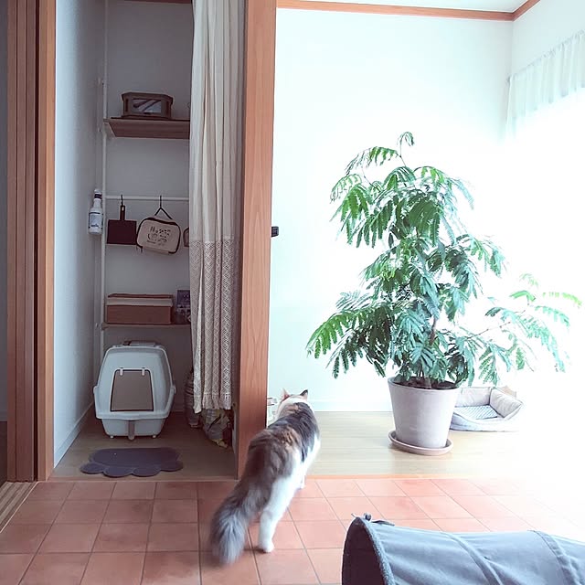 +CHIHARU+さんの実例写真