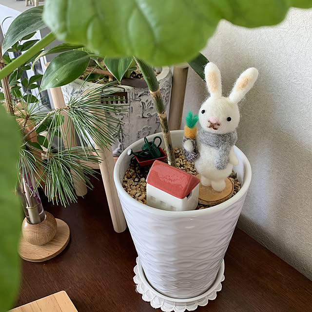 JUNさんの実例写真
