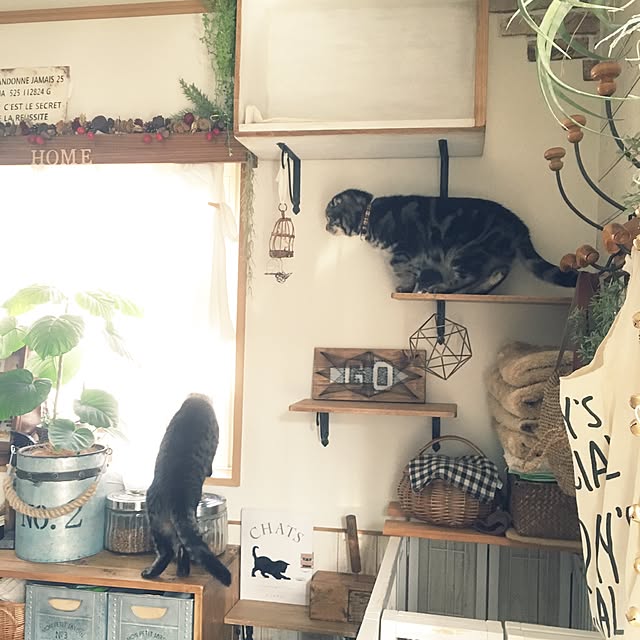 REINA612WORKSさんの実例写真