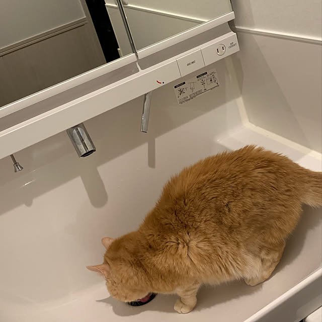 mikeume7さんの実例写真