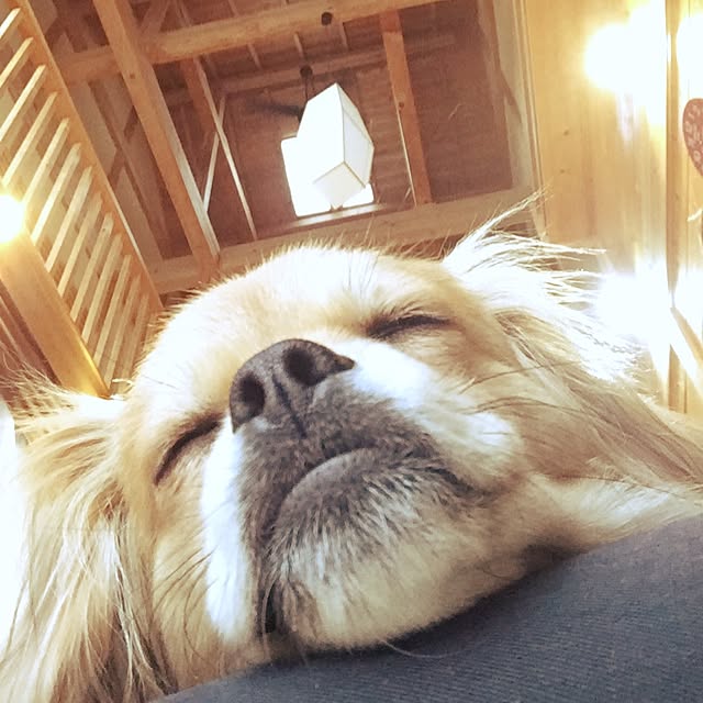 ririさんの実例写真