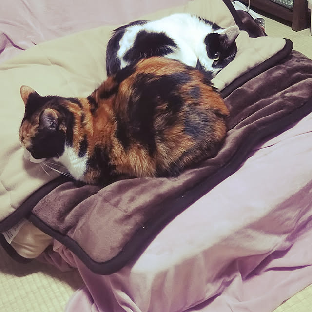 oyoneさんの実例写真