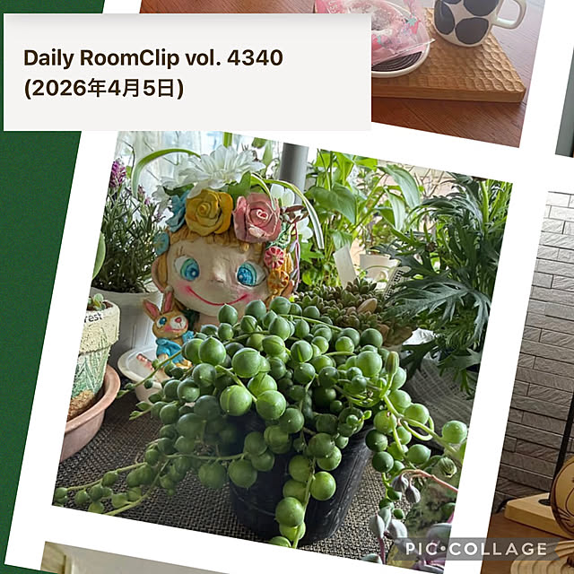 Aqettyさんの実例写真