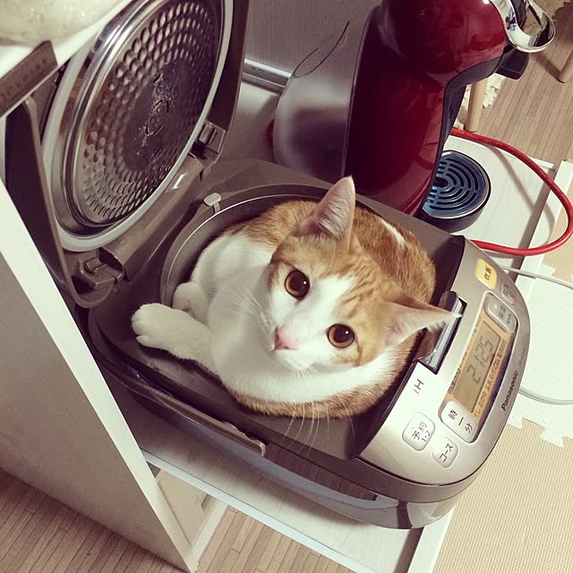 becchiさんの実例写真