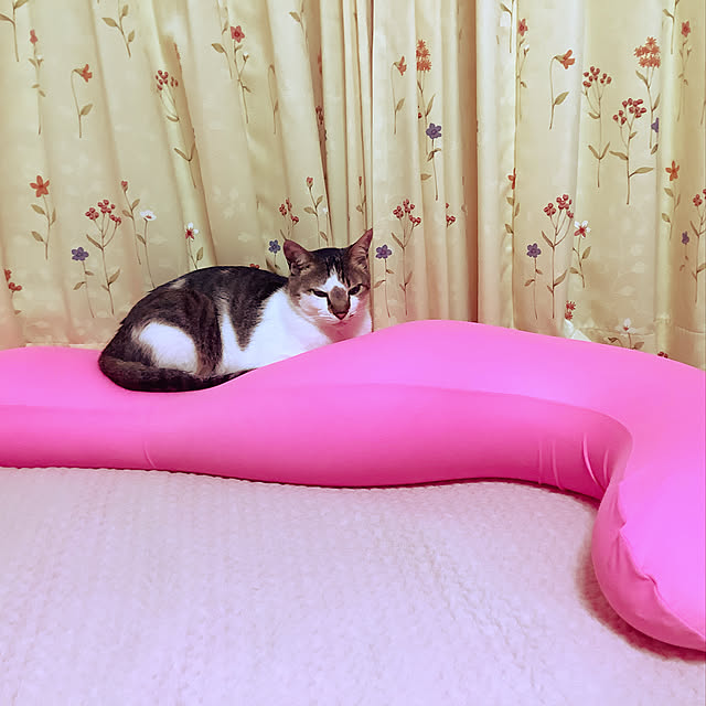 haruminさんの実例写真