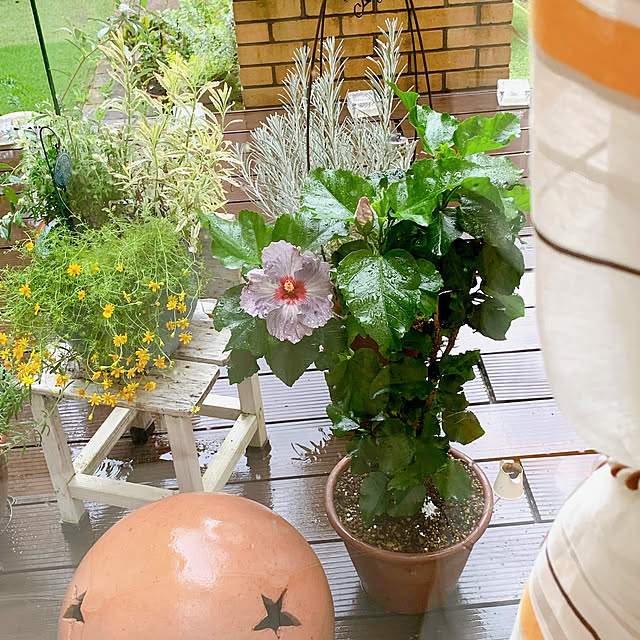 chisaさんの部屋