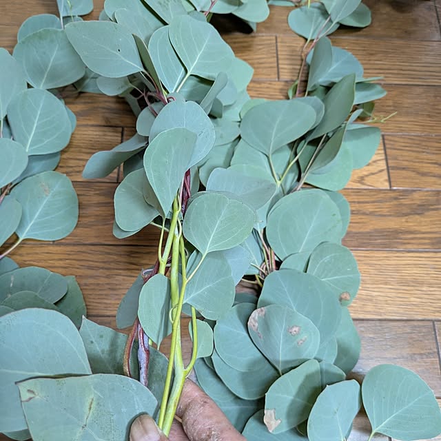 asaさんの部屋