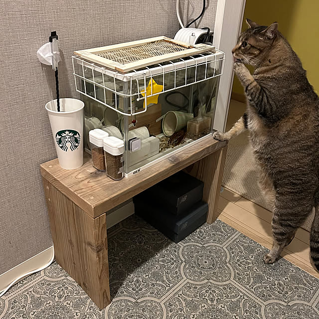 mikomaruさんの部屋