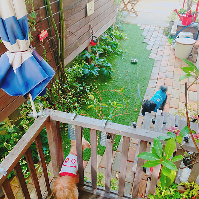 risaさんの実例写真