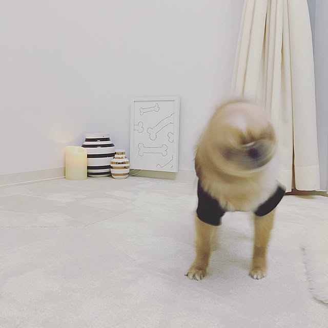 haruhinaさんの実例写真
